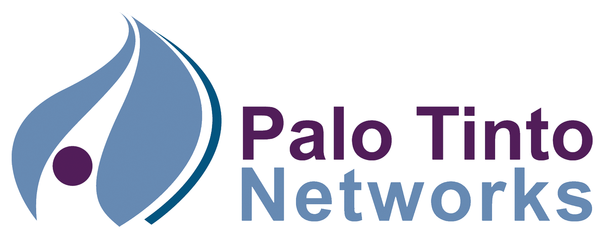 Palo Tinto Networks